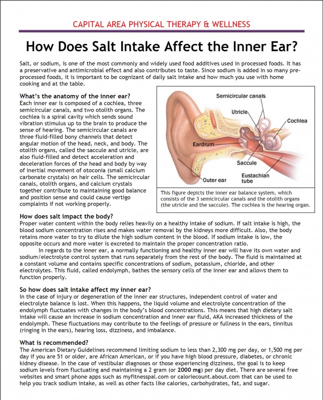 Salt Intake Affects The Inner Ear Jennifer Welt, PT, DPT Capital Area PT